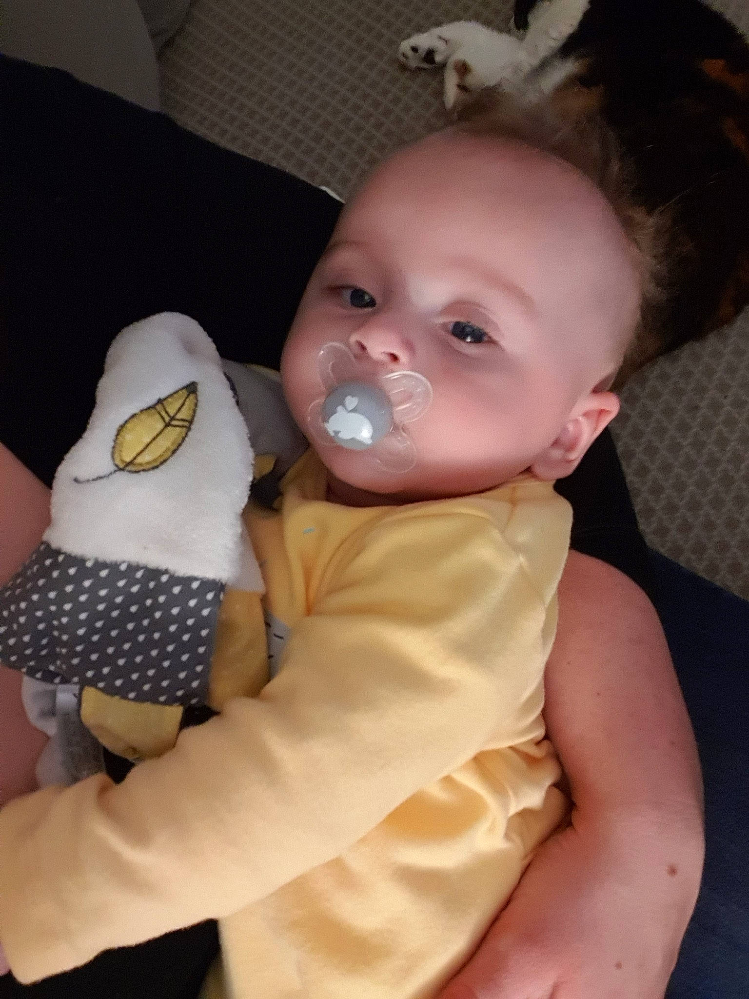 Gabriel a rejoint le concours — aidez-le/la à gagner de superbes lots ! baby, baby_products, cheek, child, mouth, person, skin, toddler