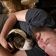 Sadie joined the competition — help win amazing prizes! man, dog, cat, sleeping, cuddling, beard, arm, indoor, furniture, brown_dog, orange_cat, resting, human, pet, relaxation, comfort, closeup, casual_clothing, household, cozy