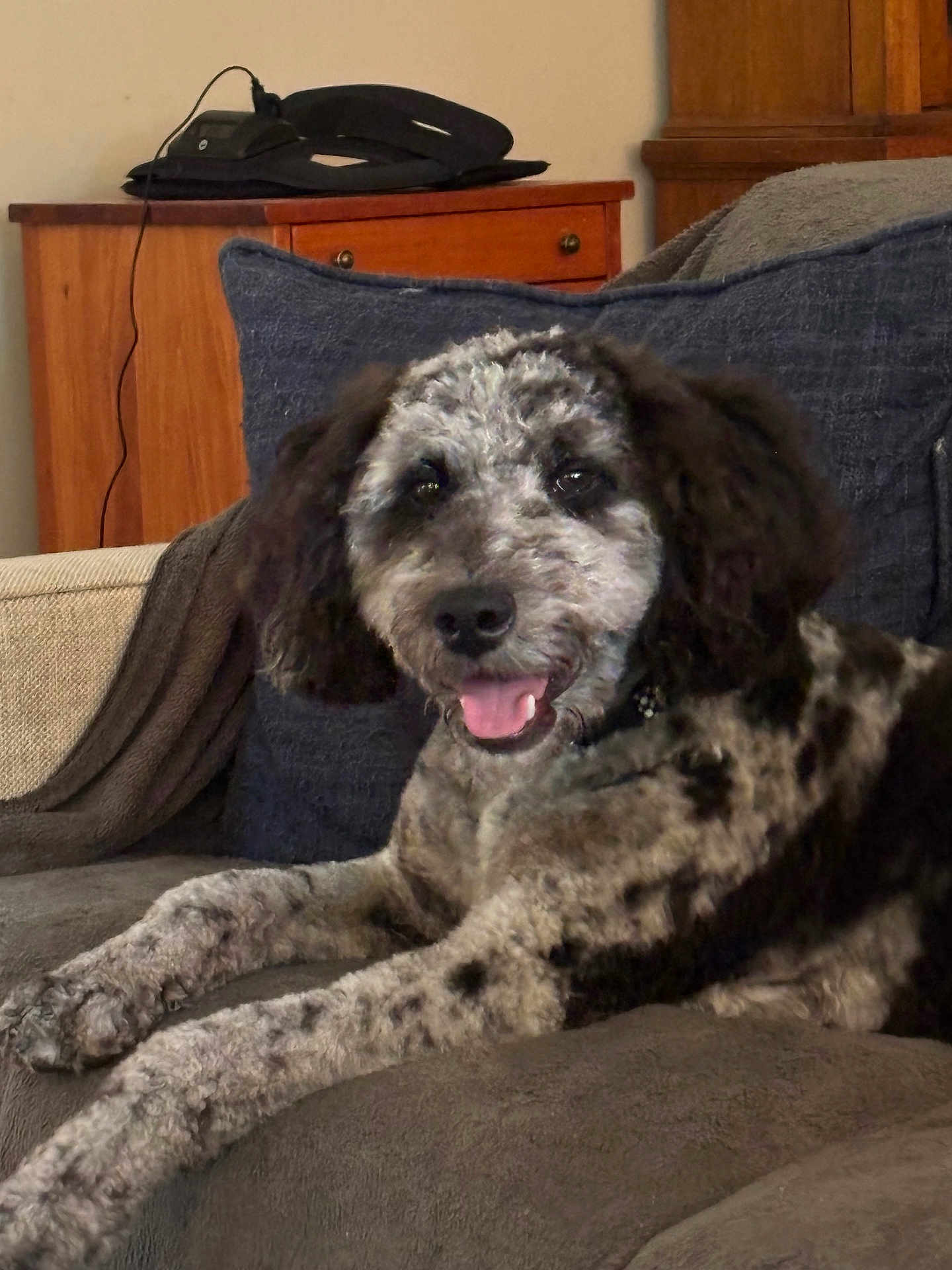 Ollie
