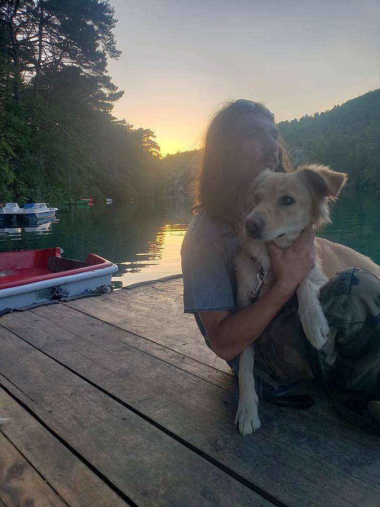 Bonnie participe au concours pour gagner de l'argent avec cette photo : carnivore, companion_dog, dog, dog_breed, fawn, happy, lake, landscape, leisure, lens_flare, plant, sky, summer, sunlight, sunset, travel, tree, water, wood, working_animal