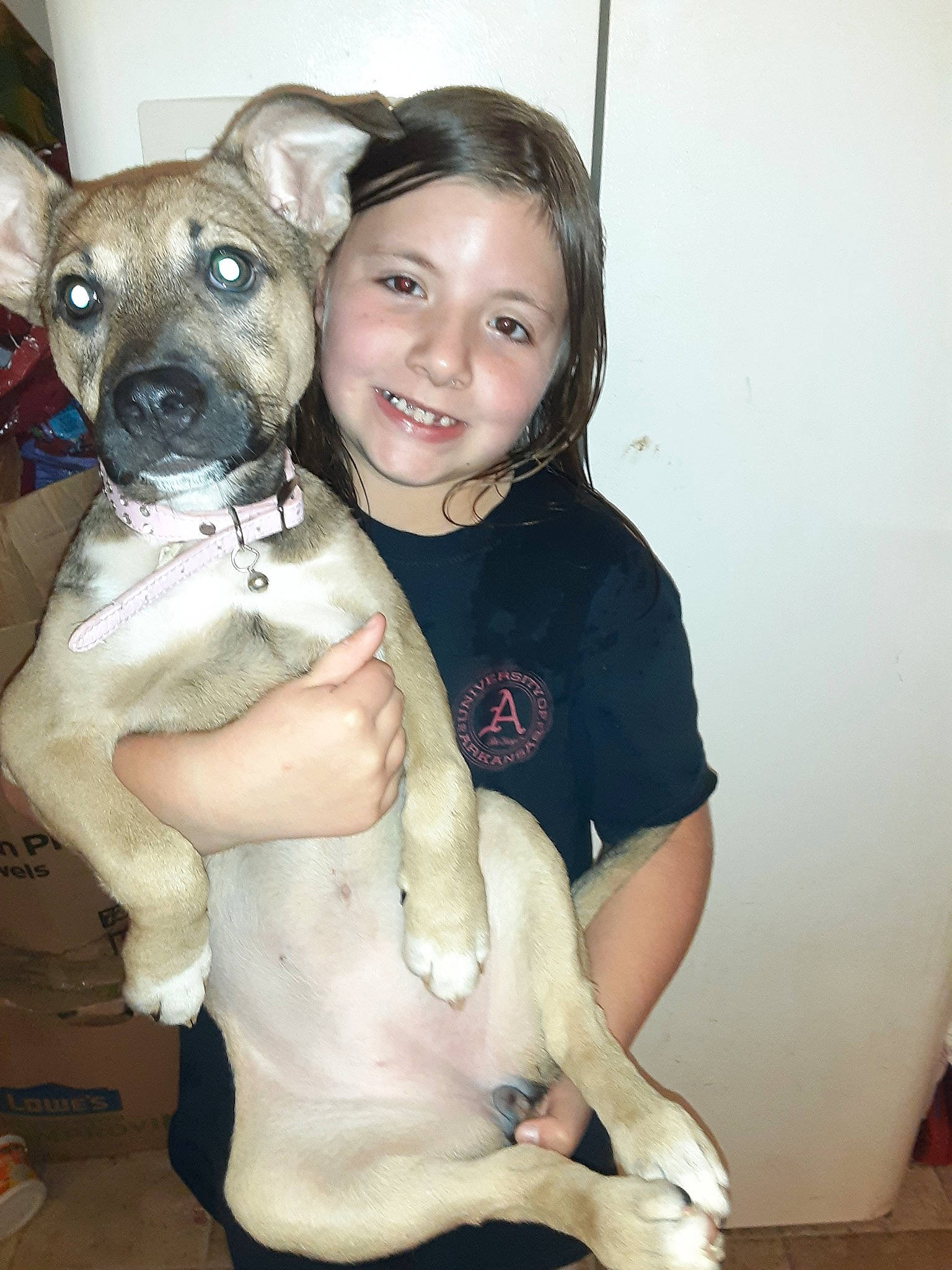 Catherine joined the competition — help win amazing prizes! canidae, carnivore, collar, companion_dog, dog, dog_breed, dog_collar, fawn, fur, gesture, happy, head, joy, person, puppy_love, smile, snout, sporting_group, t_shirt, toy_dog