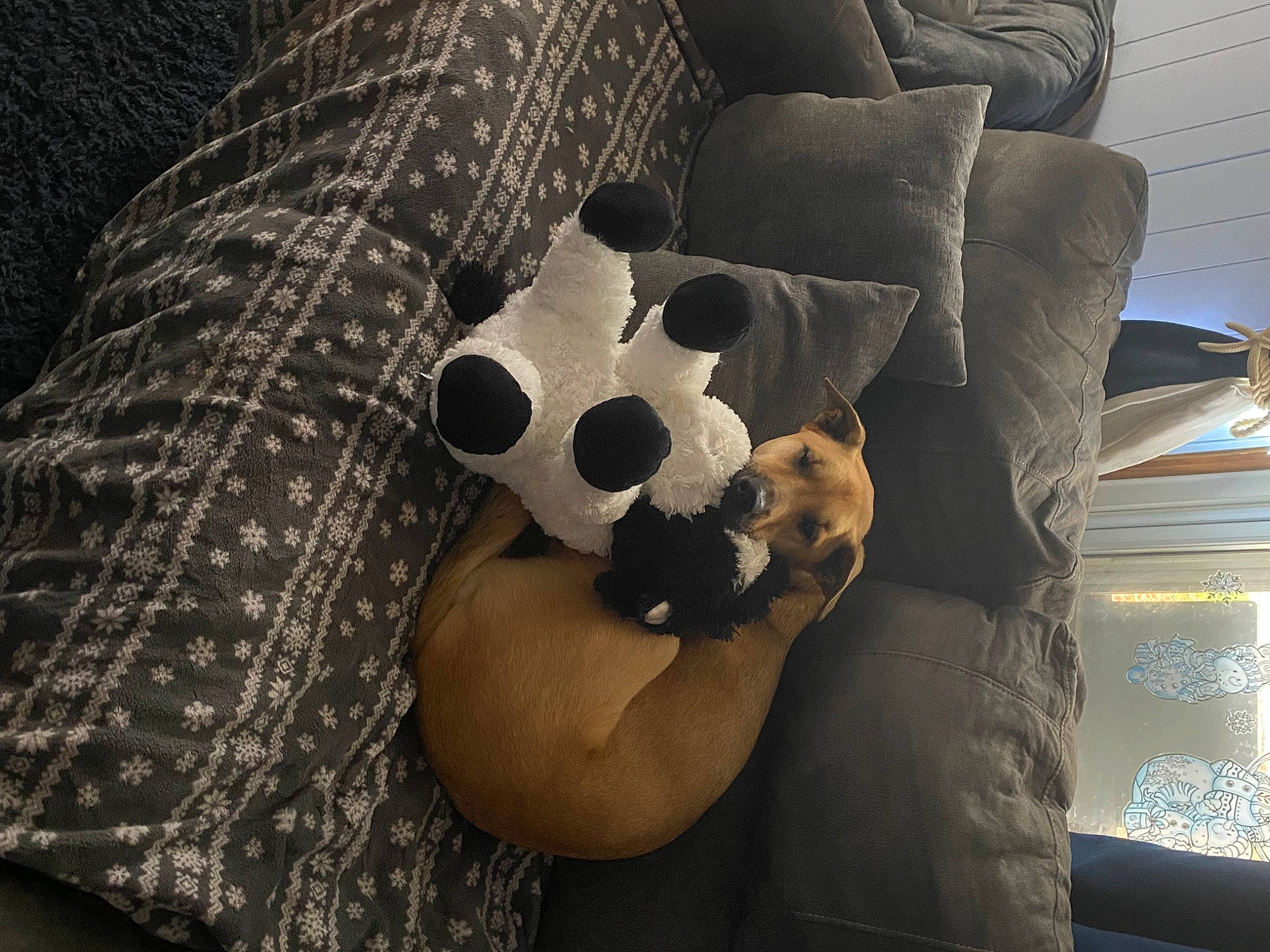Willow May joined the competition — help win amazing prizes! bone, carmine, comfort, darkness, fur, human_leg, mammal, panda, pattern, personal_protective_equipment, plush, sleeve, snout, stuffed_toy, sunglasses, t_shirt, textile, thigh, tints_and_shades, toy