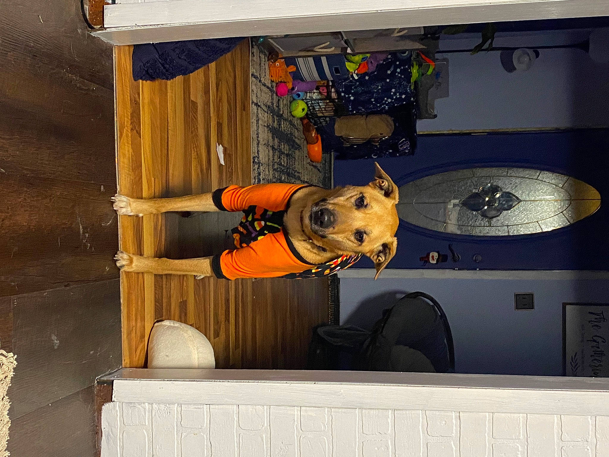 Willow May joined the competition — help win amazing prizes! audio_equipment, building, curtain, display_device, door, hat, helmet, house, machine, room, space, window, wood