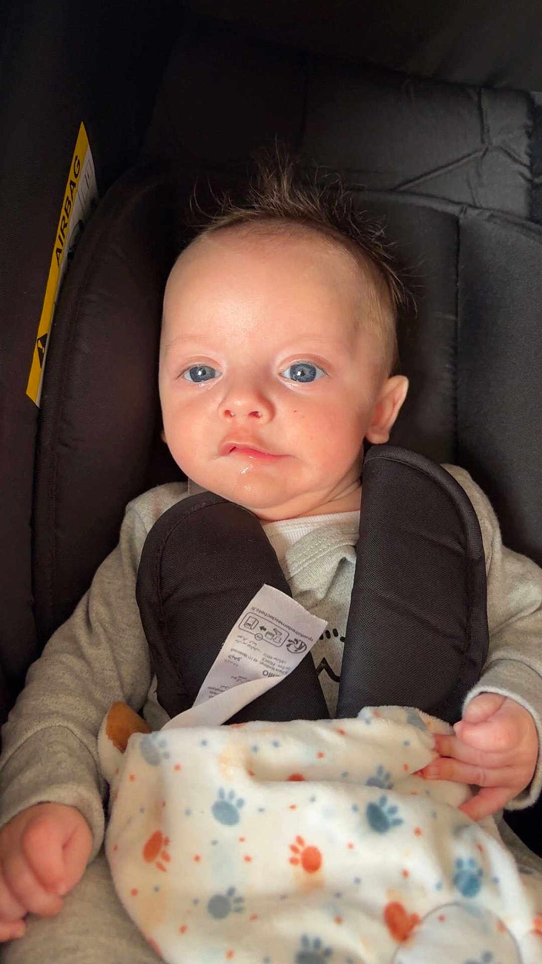Kaylan a rejoint le concours — aidez-le/la à gagner de superbes lots ! baby, infant, car_seat, blanket, paw_prints, drool, blue_eyes, clothing, straps, child, cute, portrait, indoor, soft_lighting, face, hands, fabric, comfort, young, seat