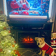 Salem is registered to the contest to win money with this photo: dog, christmas_tree, fireplace, holiday_decorations, television, santa_claus, sweater, carpet, ornaments, lights, indoors, festive, winter, warmth, cozy, decor, puppy, holiday, seasonal, celebration