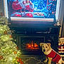 dog, christmas_tree, fireplace, holiday_decorations, television, santa_claus, sweater, carpet, ornaments, lights, indoors, festive, winter, warmth, cozy, decor, puppy, holiday, seasonal, celebration
