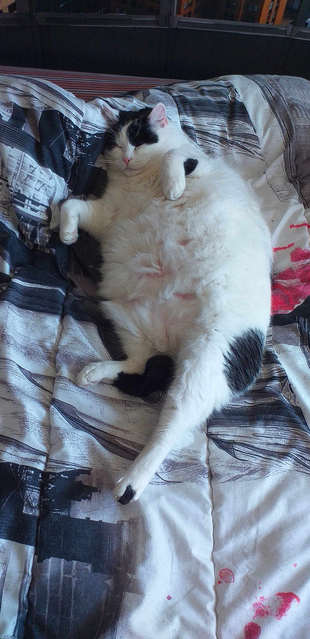 Nina