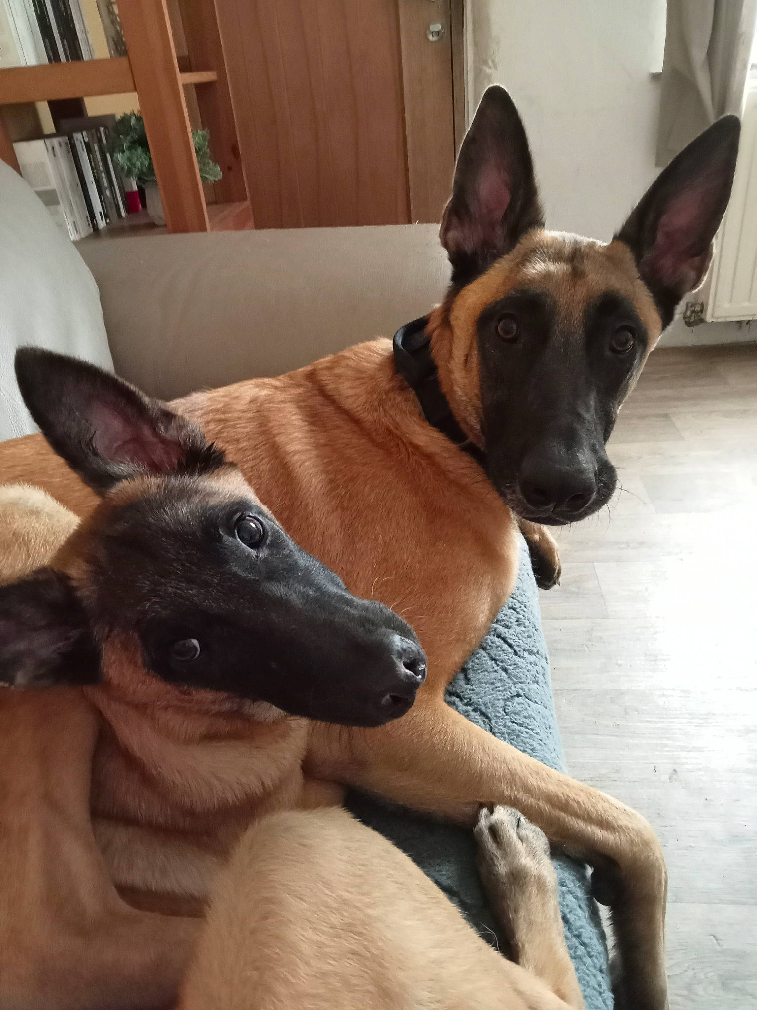 Eros Et Xena