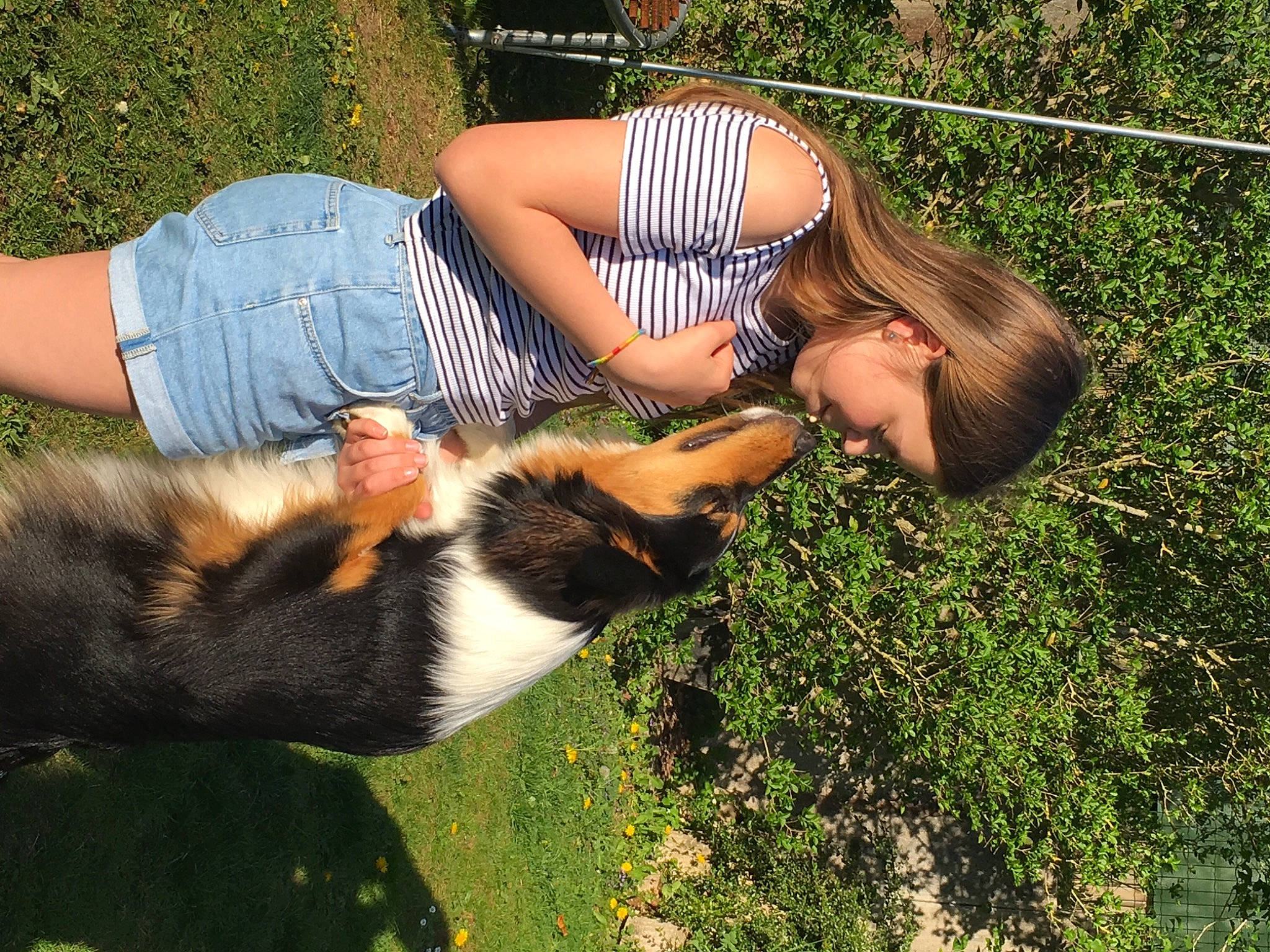 Pallas a rejoint le concours — aidez-le/la à gagner de superbes lots ! calf, companion_dog, dress, fawn, felidae, fun, gesture, grass, grass_family, grassland, happy, human_leg, lawn, leisure, meadow, people_in_nature, plant, sunglasses, thigh, tree