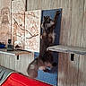 artwork, buddha, cat, climbing, couch, decor, feline, fur, furniture, home, indoor, paw, pet, red_couch, remote_control, scratching_post, shelf, tail, vertical_surface, wooden_wall