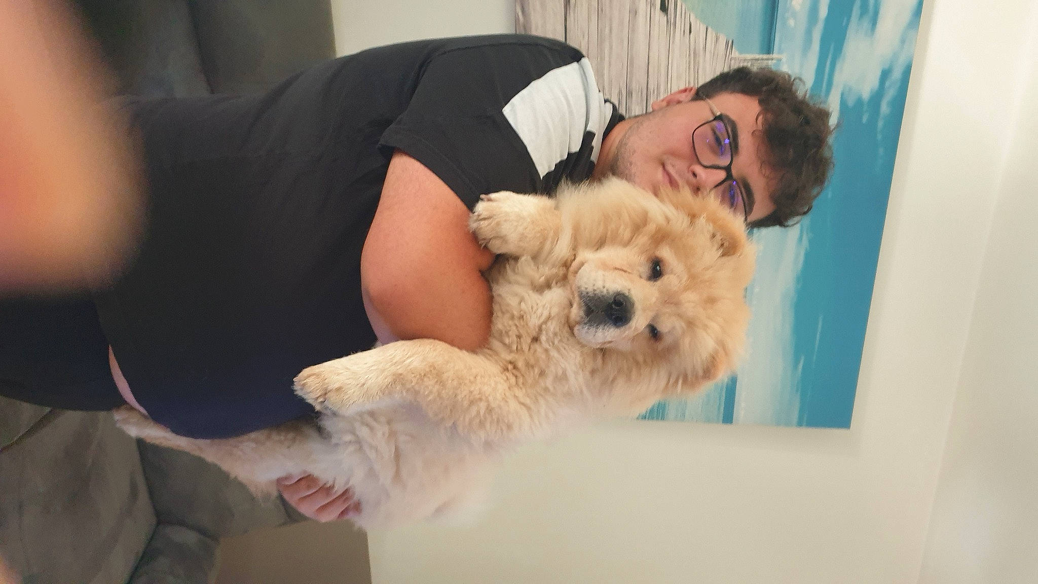 Trésor participe au concours pour gagner de l'argent avec cette photo : beard, canidae, carnivore, companion_dog, dog, dog_breed, eyewear, fur, glasses, labradoodle, maltepoo, poodle_crossbreed, sitting, small_terrier, snout, sporting_group, sunglasses, terrier, toy_dog, vision_care