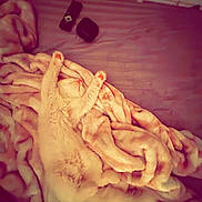 Coco is registered to the contest to win money with this photo: cat, sleeping, blanket, soft, cozy, bed, fur, paws, relaxation, indoor, pet, rest, comfort, cute, animal, feline, warm, fluffy, striped, domestic