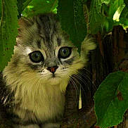 Lili a rejoint le concours — aidez-le/la à gagner de superbes lots !