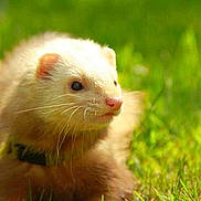 Bidule a rejoint le concours — aidez-le/la à gagner de superbes lots !