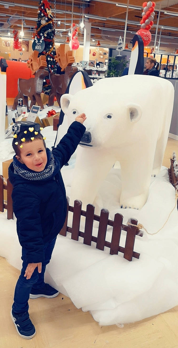 Lorenzo a rejoint le concours — aidez-le/la à gagner de superbes lots ! bear, mascot, person, tourism, toy, world