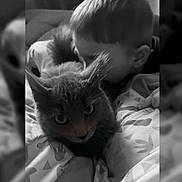 Simba participe au concours pour gagner de l'argent avec cette photo : child, cat, blanket, bed, cuddle, snuggle, black_and_white, indoor, close_up, pattern, face, fur, comfort, cozy, pet, animal, portrait, young, cute, tender_moment