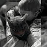 child, cat, blanket, bed, cuddle, snuggle, black_and_white, indoor, close_up, pattern, face, fur, comfort, cozy, pet, animal, portrait, young, cute, tender_moment