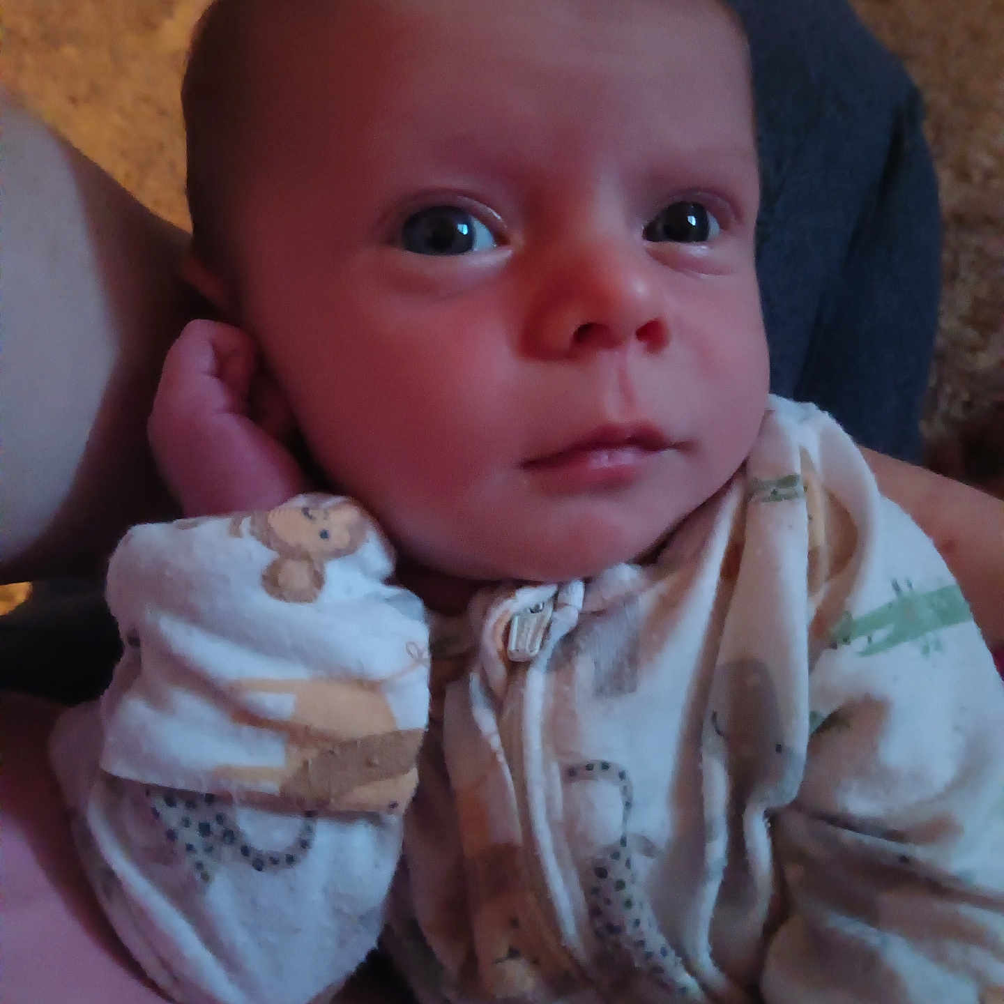 Skyden is registered to the contest to win money with this photo: baby, blanket, bodypart, bonnet, clothing, couch, cushion, face, finger, furniture, hand, hat, head, homedecor, newborn, person, photography, portrait, quilt, toy