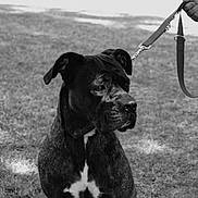 Cheyenne a rejoint le concours — aidez-le/la à gagner de superbes lots !