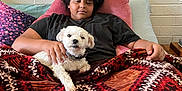 Fluffylynn is registered to the contest to win money with this photo: person, dog, couch, blanket, pillow, indoor, relaxing, white_dog, curly_hair, black_shirt, patterned_blanket, painting, wall, lamp, table, hand, pet, comfort, resting, home