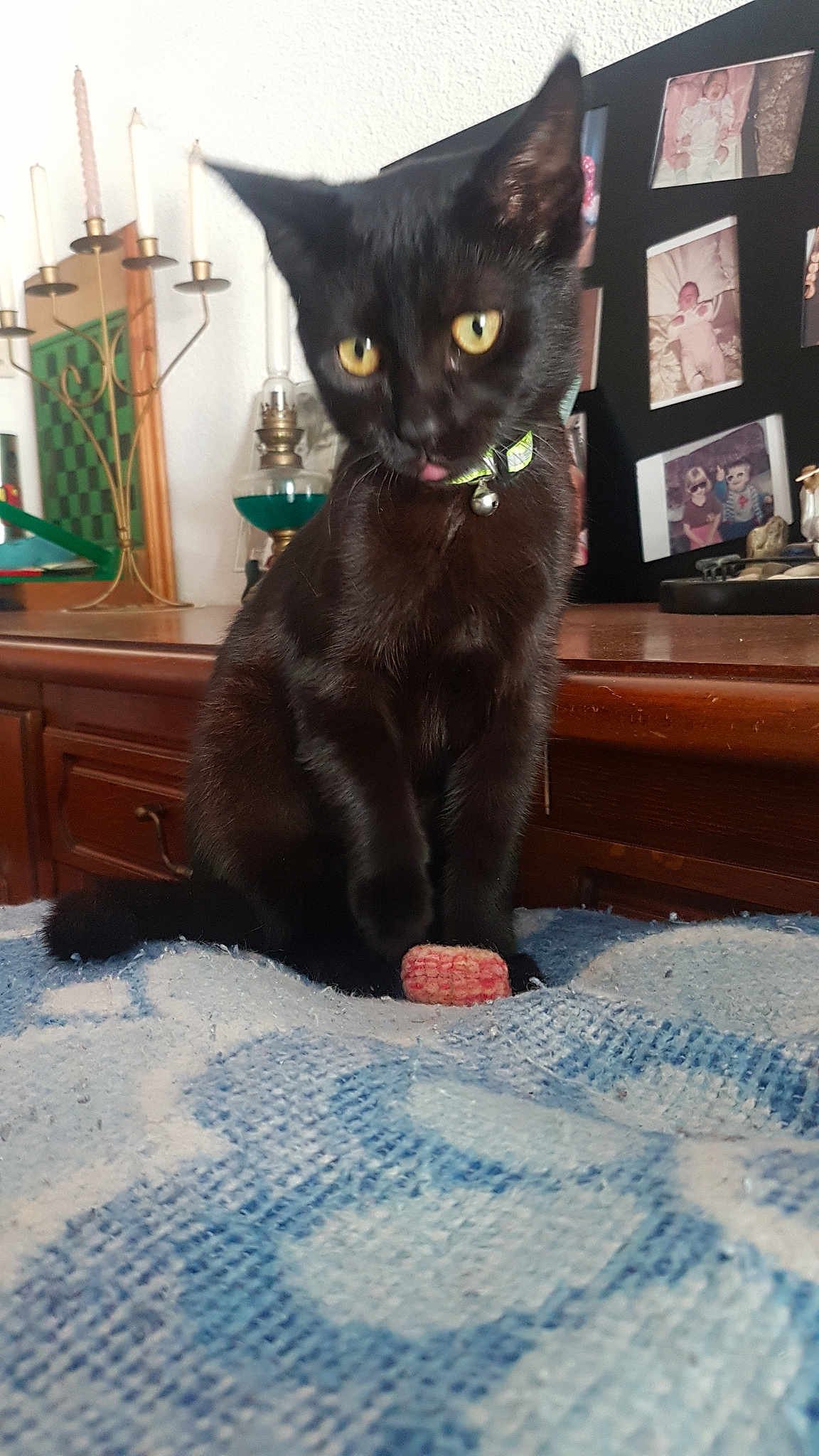 Oliver