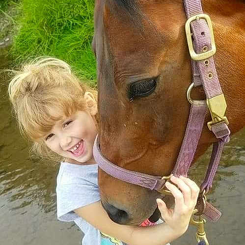 Farrah is registered to the contest to win money with this photo: bit, bridle, halter, head, horse, horse_grooming, horse_harness, horse_like_mammal, horse_supplies, horse_tack, livestock, mane, mare, neck, pack_animal, pony, rein, snout, stallion