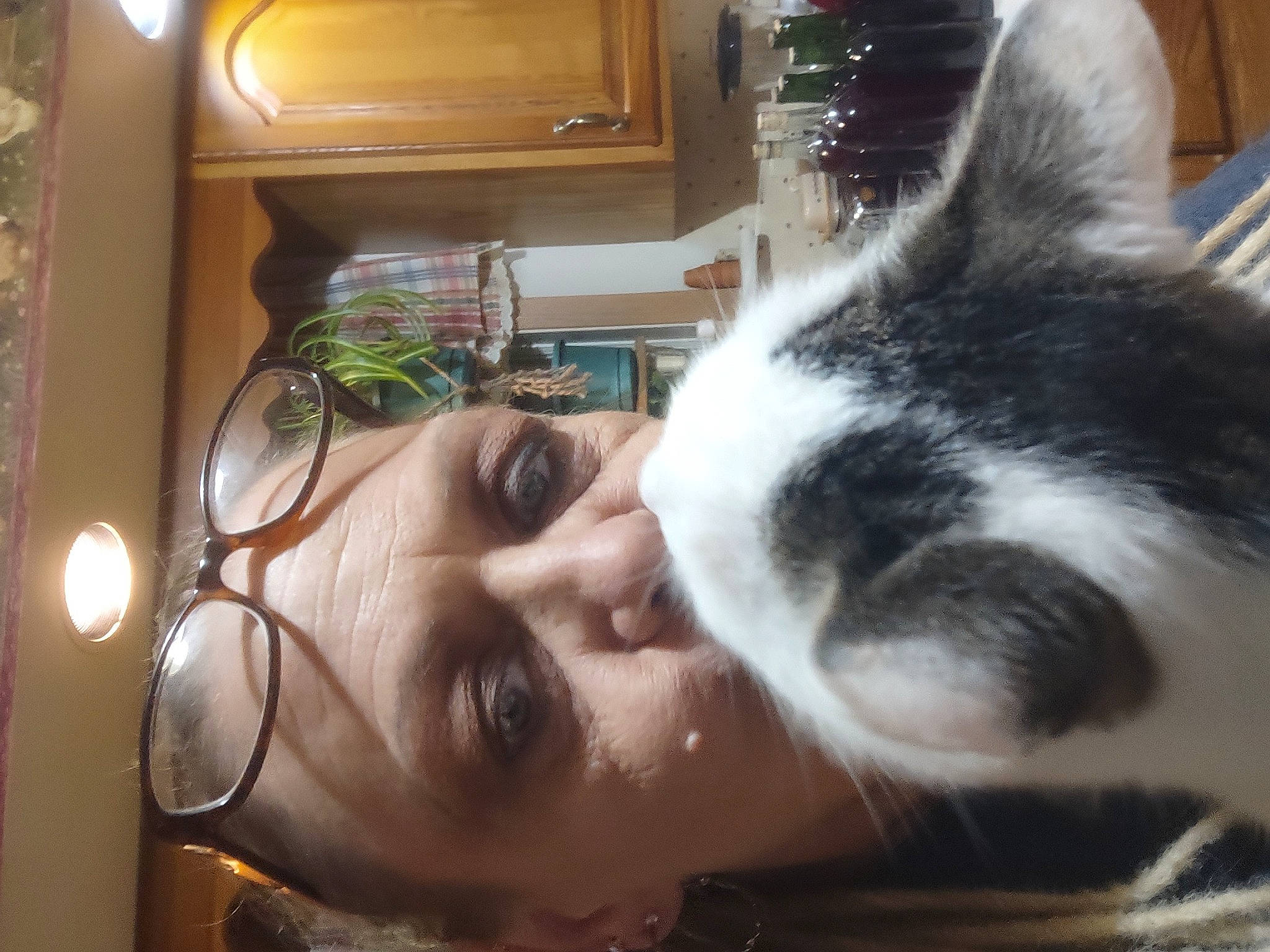 Rauzi joined the competition — help win amazing prizes! audio_equipment, beard, cat, comfort, domestic_short_haired_cat, ear, eyelash, eyewear, facial_hair, felidae, fur, happy, hug, jaw, nap, nose, selfie, small_to_medium_sized_cats, vision_care, whiskers