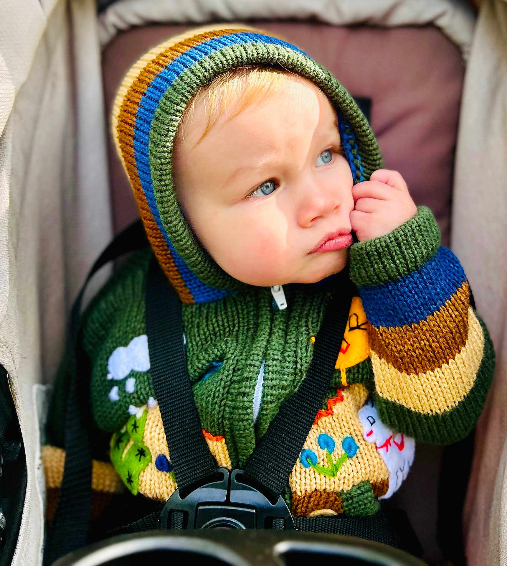 Lucas joined the competition — help win amazing prizes! toddler, child, knitted_hoodie, blue_eyes, stroller, seatbelt, colorful_clothing, portrait, baby, cute, outdoor, warm_clothing, hand_on_face, thoughtful, small_fist, closeup, person, face, expression, soft_light