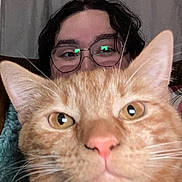 Zoro joined the competition — help win amazing prizes! amber_eyes, big_ears, blanket, cat, close_up, couch, face, fur, ginger_cat, glasses, human, indoor, orange_cat, person, pet, pink_nose, playful, portrait, selfie, whiskers