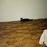 alone, animal, beige, brown, cat, cloth, corner, dark, empty_room, floor, glowing_eyes, indoor, low_light, lying_down, pattern, pet, quiet, shadow, tile_floor, wall