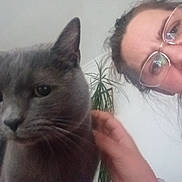 Bulma a rejoint le concours — aidez-le/la à gagner de superbes lots ! blur, casual, cat, close_up, companion, curious, face, feline, glasses, gray_cat, hair, hand, houseplant, indoor, light, person, pet, portrait, wall, whiskers