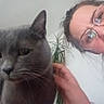 blur, casual, cat, close_up, companion, curious, face, feline, glasses, gray_cat, hair, hand, houseplant, indoor, light, person, pet, portrait, wall, whiskers