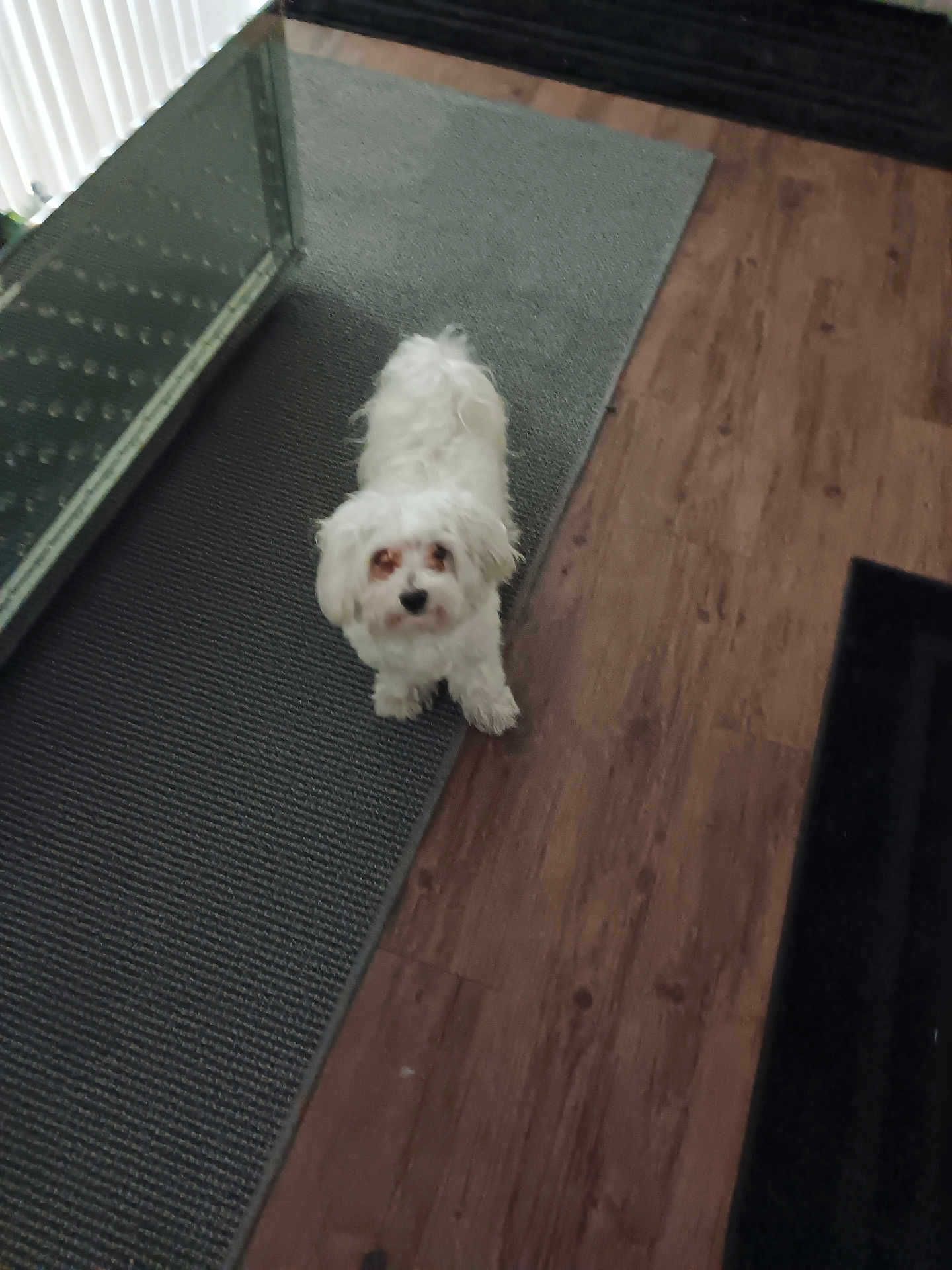 Casper