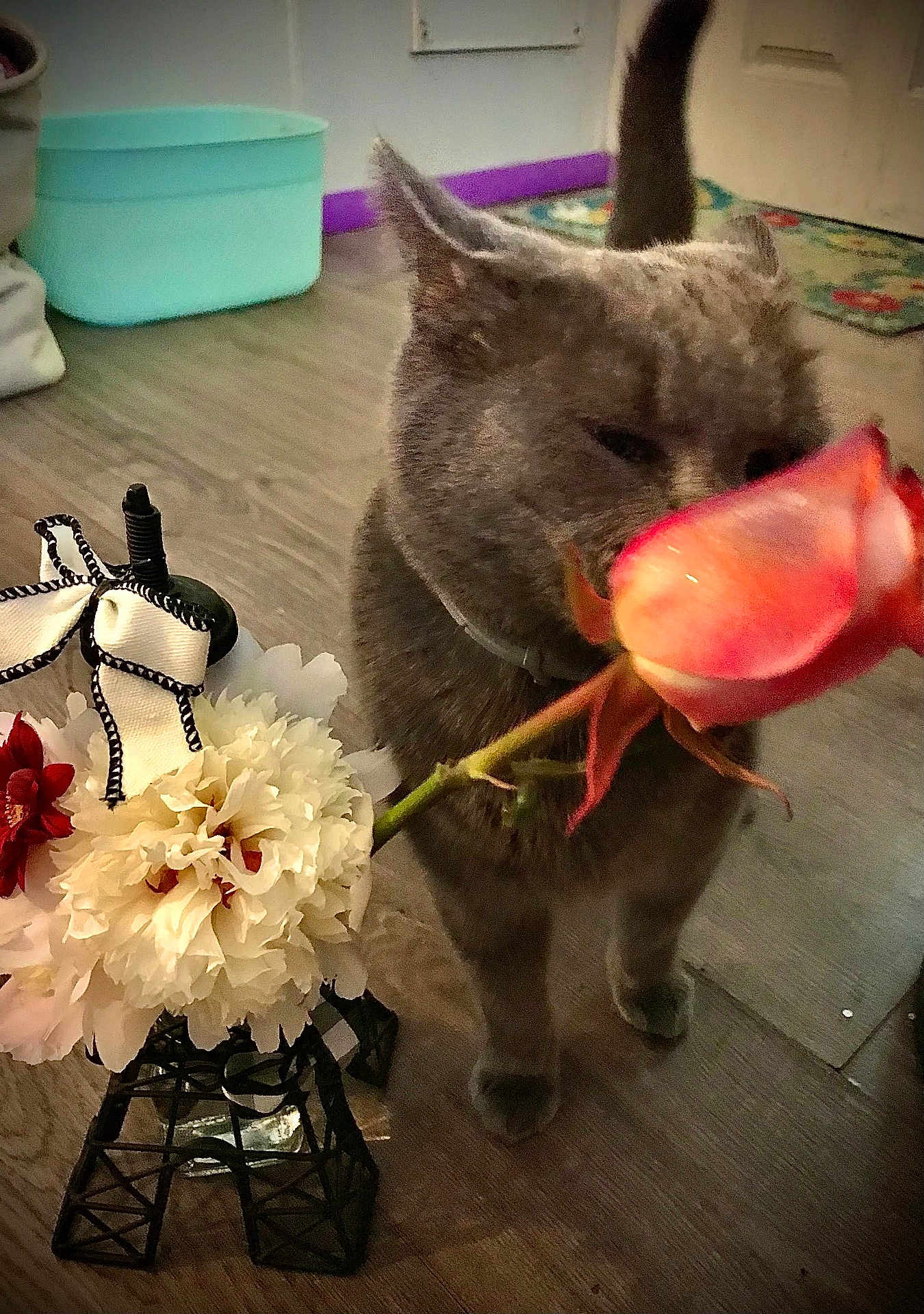 Tweaker Duane Church