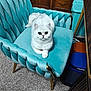 cat, white_cat, feline, pet, indoor, chair, turquoise_chair, plush_furniture, carpet, wooden_furniture, cozy, resting, cute, animal, fur, domestic_animal, mammal, relaxing, home_interior, close_up