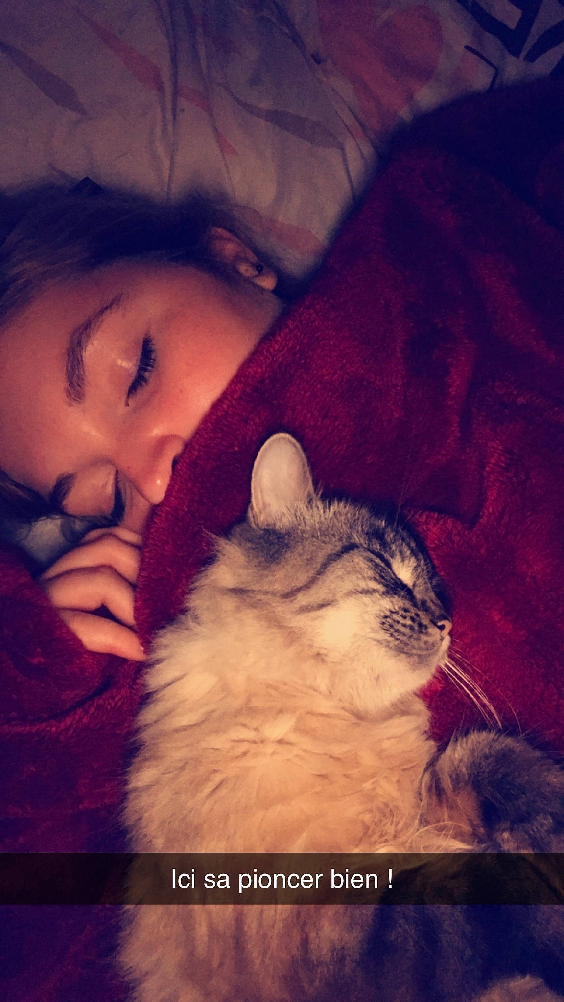 Bibiche participe au concours pour gagner de l'argent avec cette photo : beauty, carnivore, cat, cloud, ear, eye, felidae, fur, human, interaction, love, mouth, nap, nose, photo_caption, photography, sky, sleep, small_to_medium_sized_cats, whiskers