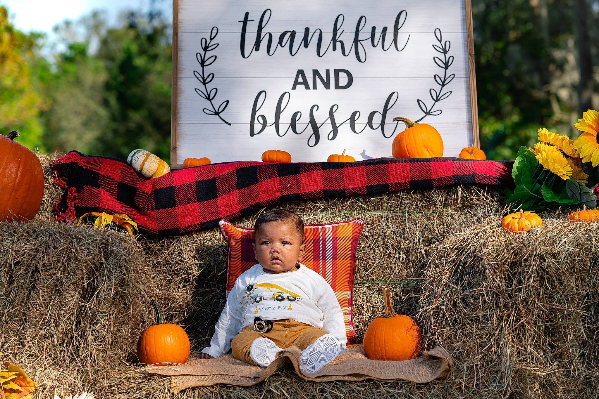 Taylin joined the competition — help win amazing prizes! _and_melon_family, _gourd, autumn, calabaza, cucumber, cucurbita, deciduous, fruit, gourd, handwriting, local_food, natural_foods, orange, person, produce, pumpkin, squash, straw, sunflower, vegan_nutrition