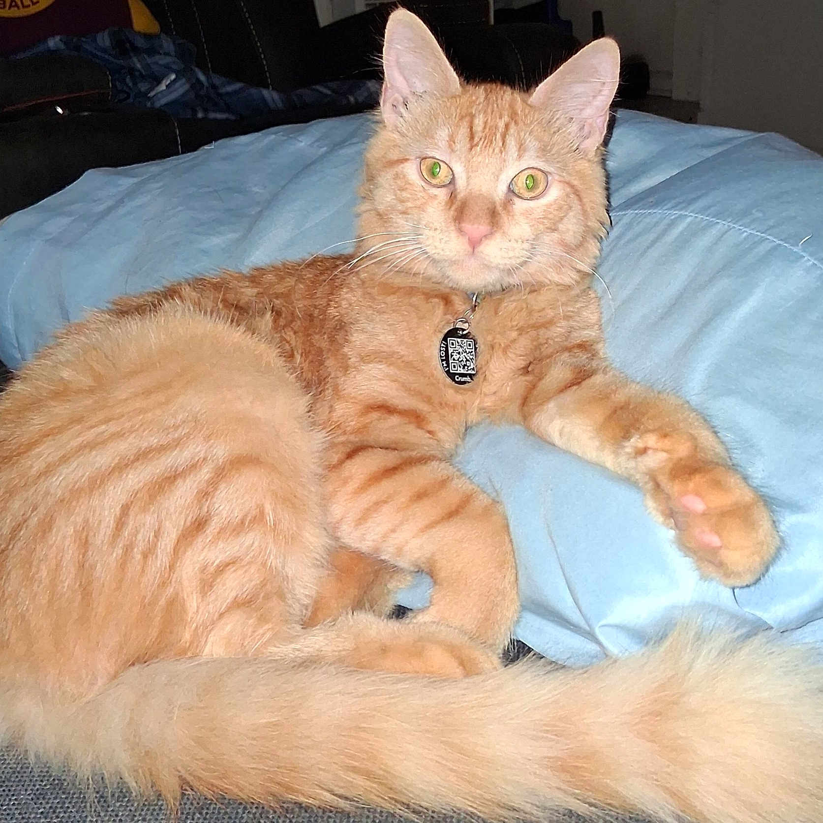 Spaz
