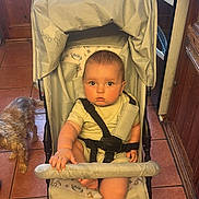 Arlo is registered to the contest to win money with this photo: baby, stroller, child, dog, kitchen, wooden_cabinets, floor_tiles, appliance, oven, child_seat, baby_clothing, infant, pet, domestic_scene, curious, indoor, hand, foot, furniture, safety_harness