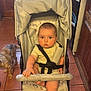 baby, stroller, child, dog, kitchen, wooden_cabinets, floor_tiles, appliance, oven, child_seat, baby_clothing, infant, pet, domestic_scene, curious, indoor, hand, foot, furniture, safety_harness