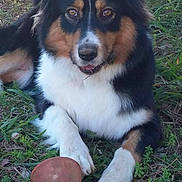 Touffy participe au concours pour gagner de l'argent avec cette photo :