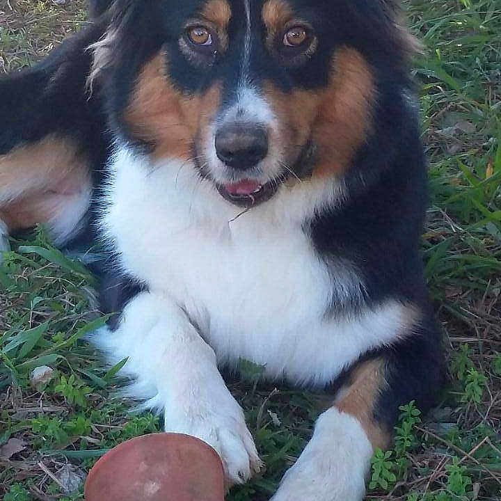 Touffy participe au concours pour gagner de l'argent avec cette photo :