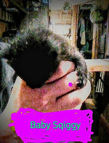 Sqiggy is registered to the contest to win money with this photo: adaptation, beard, black_hair, ear, eyelash, facial_hair, fashion_accessory, finger, fur, gesture, happy, jewellery, magenta, nail, organism, selfie, textile, thumb, wool, wrinkle