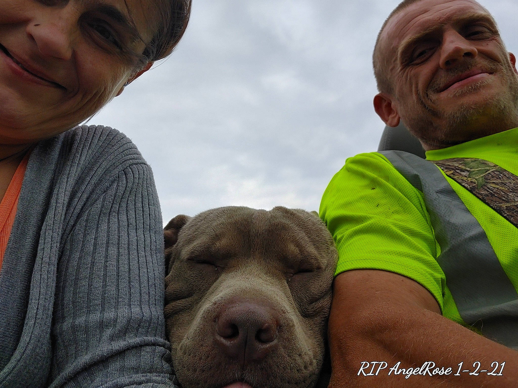 Hoss is registered to the contest to win money with this photo: adventure, beard, canidae, carnivore, cloud, companion_dog, dog, dog_breed, fun, gesture, giant_dog_breed, happy, recreation, sky, smile, snout, sporting_group, tie, working_animal, wrinkle