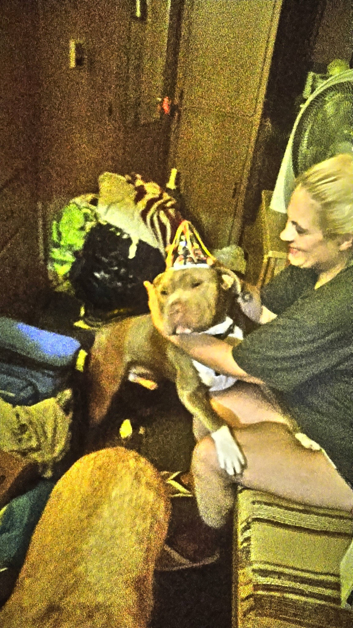 Hoss is registered to the contest to win money with this photo: animation, art, cg_artwork, costume, fiction, fictional_character, fun, fur, illustration, mythology, room, selfie, sitting, stuffed_toy, toy, visual_arts