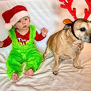 Hinze is registered to the contest to win money with this photo: animal, baby, celebration, child, christmas, costume, cute, dog, festive, green_overalls, holiday, indoor, pet, portrait, red_clothing, reindeer_antlers, santa_hat, seasonal, smiling, white_blanket