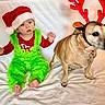 animal, baby, celebration, child, christmas, costume, cute, dog, festive, green_overalls, holiday, indoor, pet, portrait, red_clothing, reindeer_antlers, santa_hat, seasonal, smiling, white_blanket