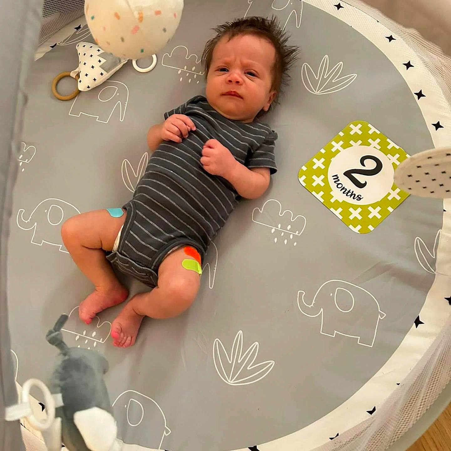 Wyatt