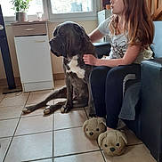 Tyson participe au concours pour gagner de l'argent avec cette photo : girl, dog, indoor, couch, tiled_floor, slippers, potted_plant, window, cabinet, pet, child, casual_clothing, home, natural_light, floor, seated, brown_hair, animal, furniture, relaxed
