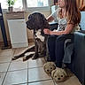 animal, brown_hair, cabinet, casual_clothing, child, couch, dog, floor, furniture, girl, home, indoor, natural_light, pet, potted_plant, relaxed, seated, slippers, tiled_floor, window